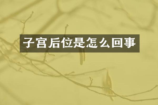 子宫后位是怎么回事