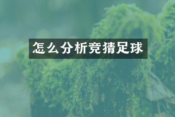 怎么分析竞猜足球
