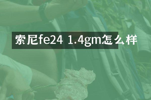 索尼fe24 1.4gm怎么样