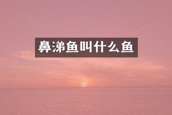 鼻涕鱼叫什么鱼