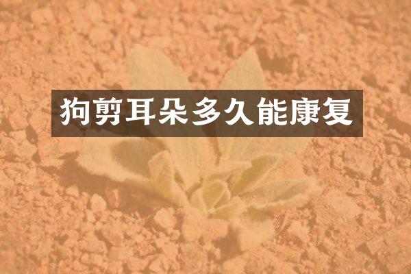 狗剪耳朵多久能康复