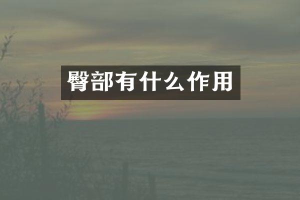 臀部有什么作用