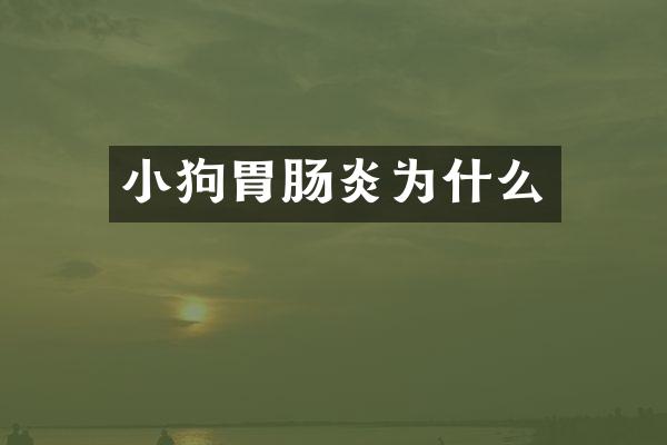 小狗胃肠炎为什么