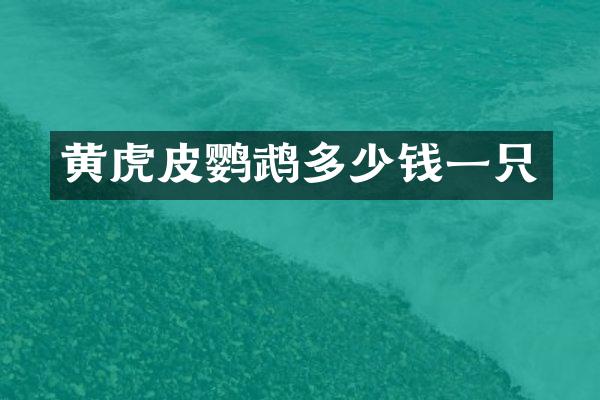 黄虎皮鹦鹉多少钱一只