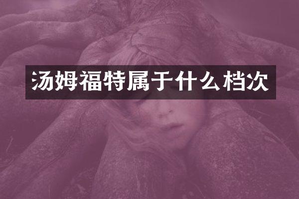 汤姆福特属于什么档次