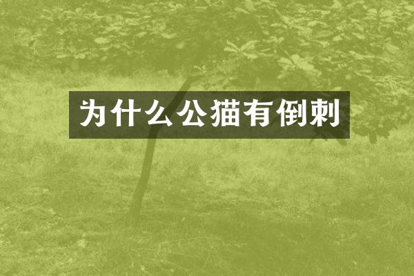 为什么公猫有倒刺