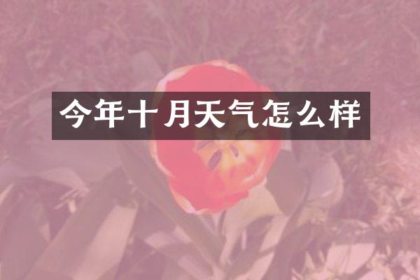今年十月天气怎么样