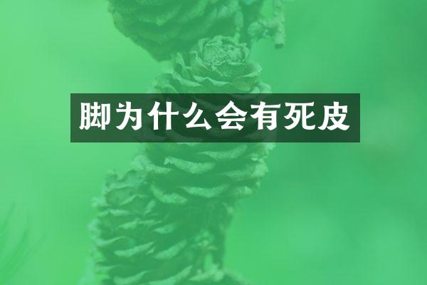 脚为什么会有死皮