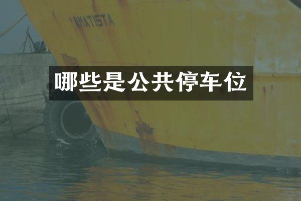 哪些是公共停车位