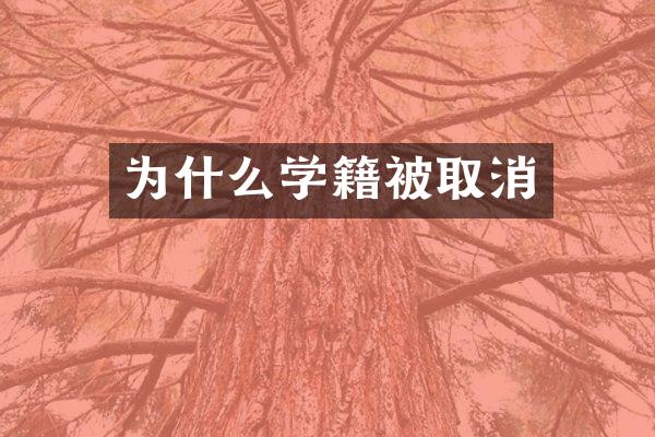 为什么学籍被取消