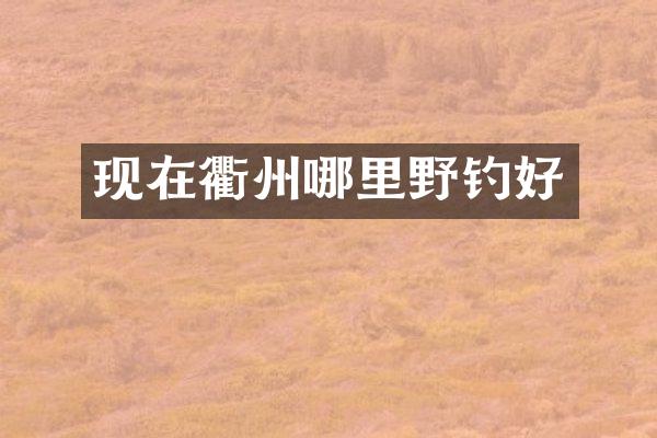 现在衢州哪里野钓好