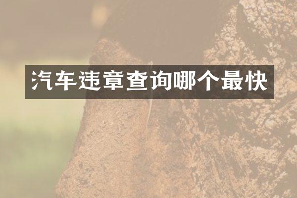 汽车违章查询哪个最快