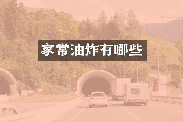 家常油炸有哪些