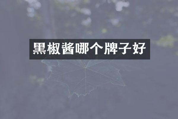 黑椒酱哪个牌子好