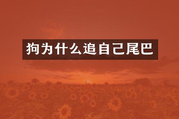 狗为什么追自己尾巴