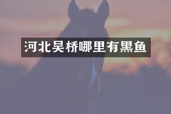 河北吴桥哪里有黑鱼