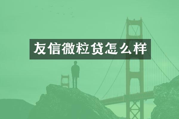 友信微粒贷怎么样