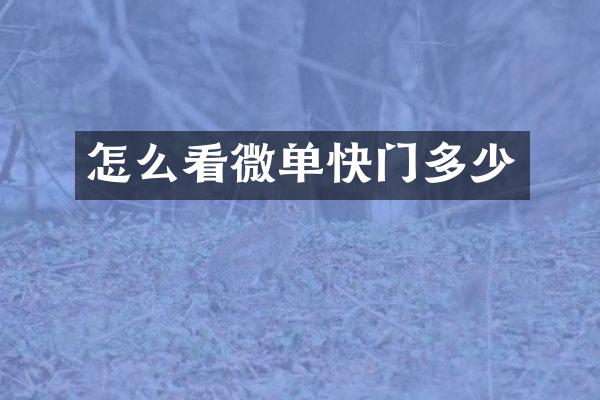 怎么看微单快门多少