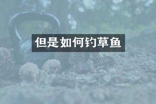 但是如何钓草鱼