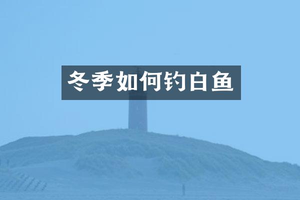 冬季如何钓白鱼