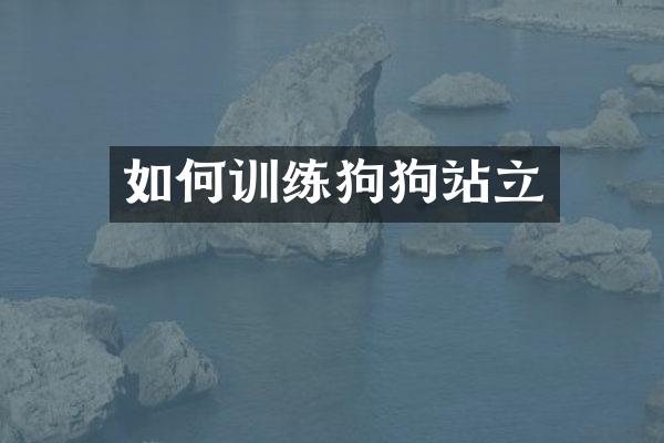 如何训练狗狗站立