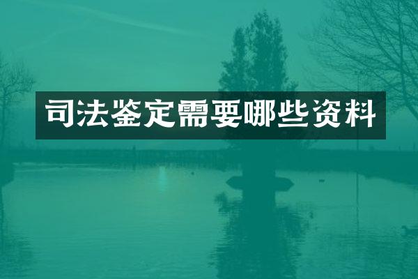 司法鉴定需要哪些资料