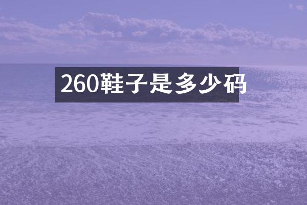 260鞋子是多少码