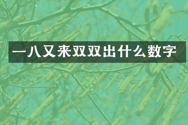 一八又来双双出什么数字