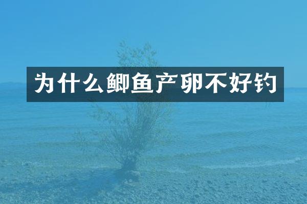 为什么鲫鱼产卵不好钓
