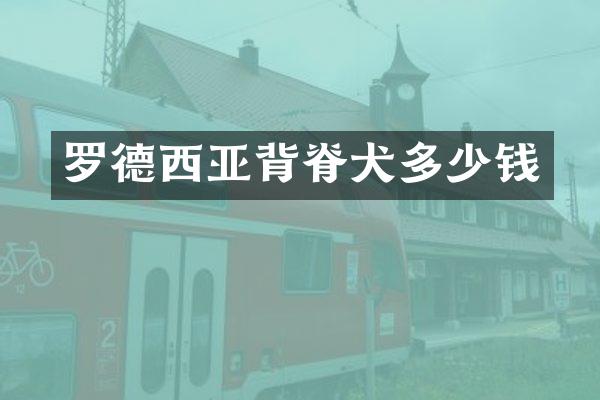 罗德西亚背脊犬多少钱