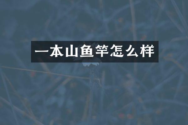 一本山鱼竿怎么样