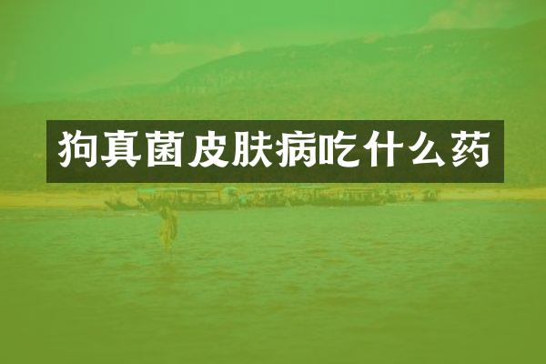 狗真菌皮肤病吃什么药