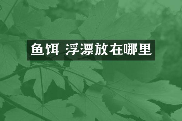 鱼饵 浮漂放在哪里