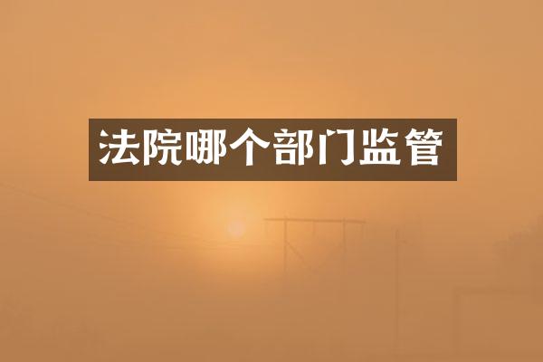 法院哪个部门监管