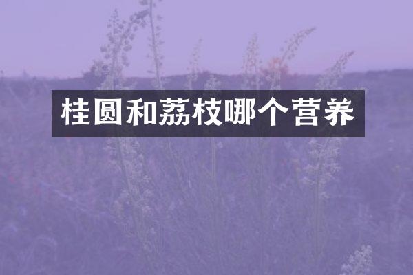 桂圆和荔枝哪个营养