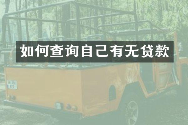如何查询自己有无贷款