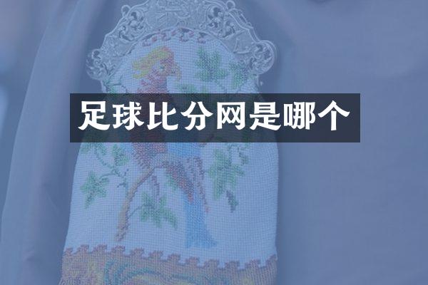 足球比分网是哪个