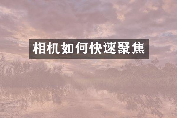 相机如何快速聚焦