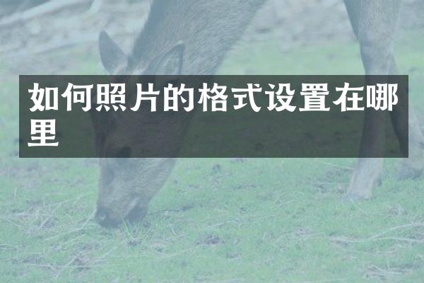 如何照片的格式设置在哪里