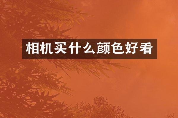 相机买什么颜色好看