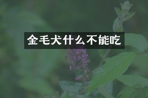 金毛犬什么不能吃