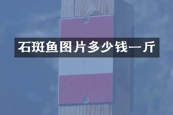 石斑鱼图片多少钱一斤