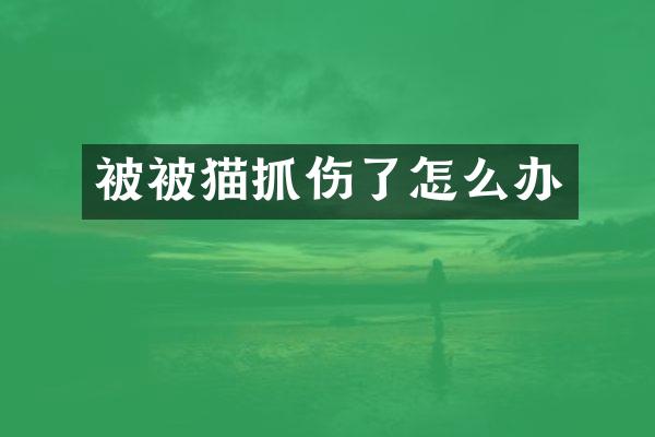 被被猫抓伤了怎么办