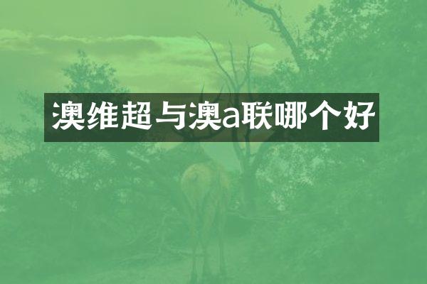 澳维超与澳a联哪个好
