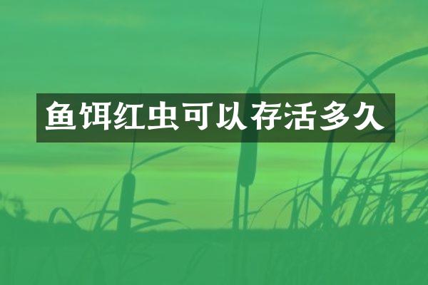 鱼饵红虫可以存活多久