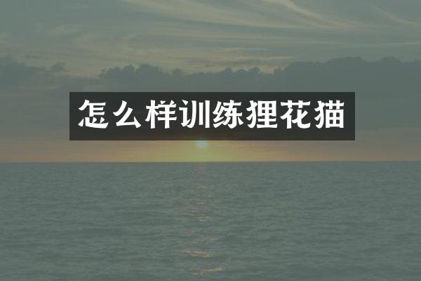 怎么样训练狸花猫