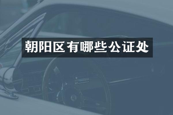 朝阳区有哪些公证处