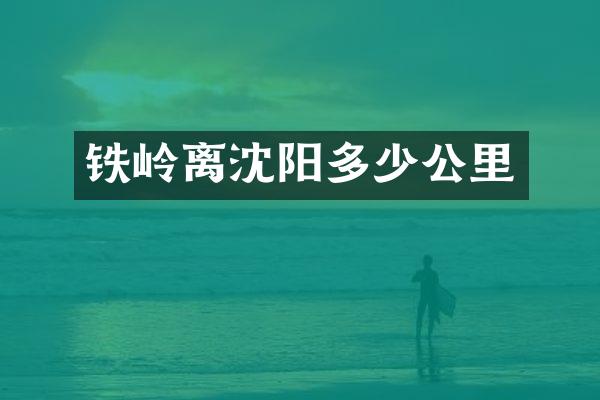 铁岭离沈阳多少公里