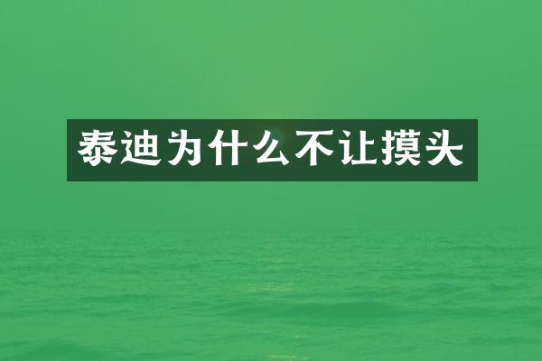 泰迪为什么不头