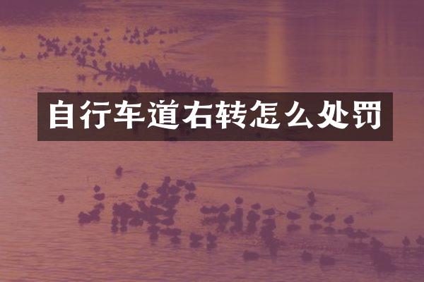 自行车道右转怎么处罚